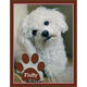 Brown and Pink Paw Photo Pet Sympathy Cards Image 2 of 3